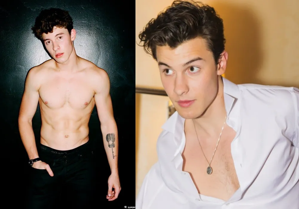 Shocking: Shawn Mendes Speaks Out About Gay Rumors