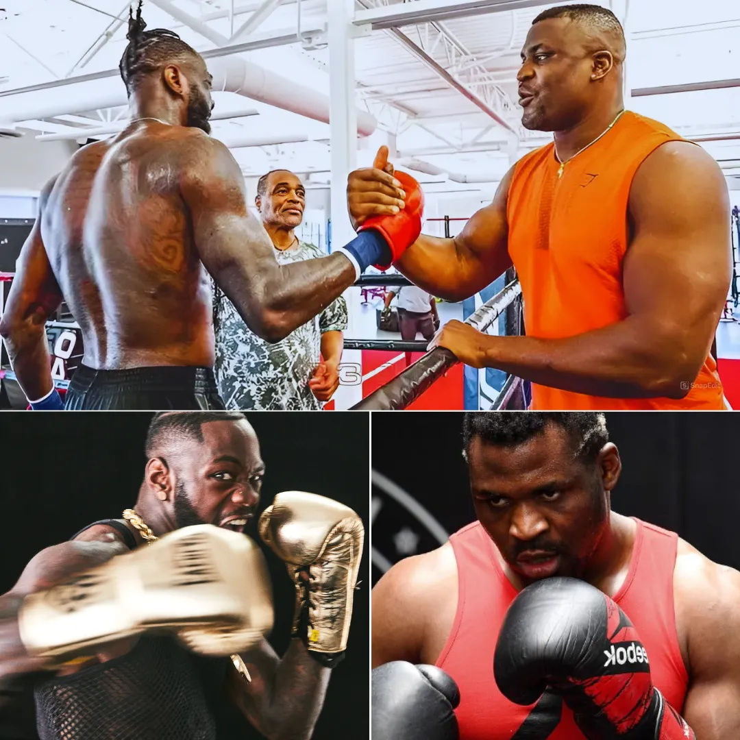 Deontay Wilder Open to Boxing Francis Ngannou After Dismissing Retirement Rumors