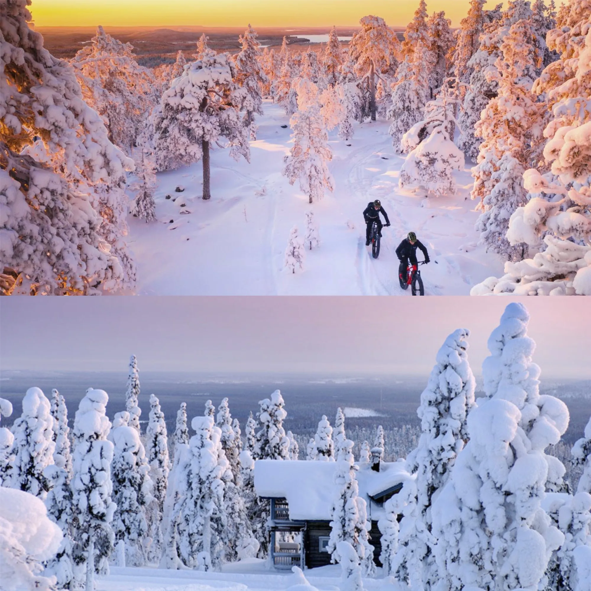 A Magical Winter in Rovaniemi: The Perfect Winter Wonderland in Northern Europe