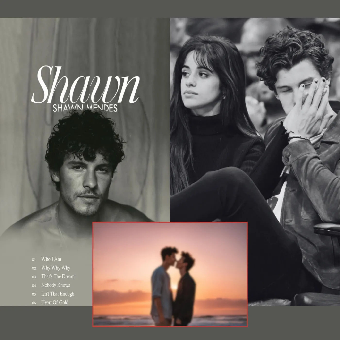 Shawn Mendes – New Album or Just a Way to Hide a Revealed Love Affair?