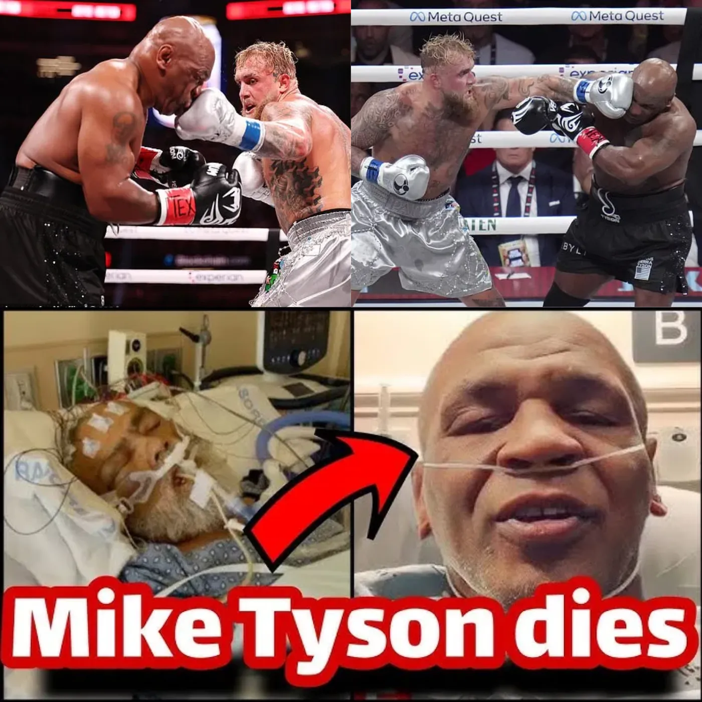 Tragic Twist: Mike Tyson Dies of Heart Attack Following Shocking Defeat to Jake Paul